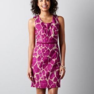 LOFT Petite Cotton Giraffe Print Dress. 10P